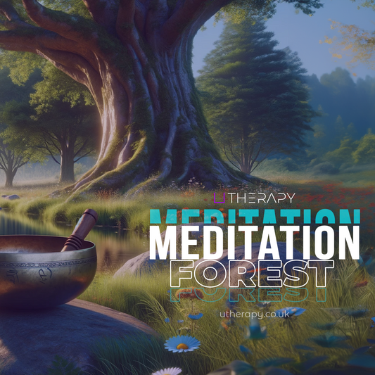 Meditation Forest